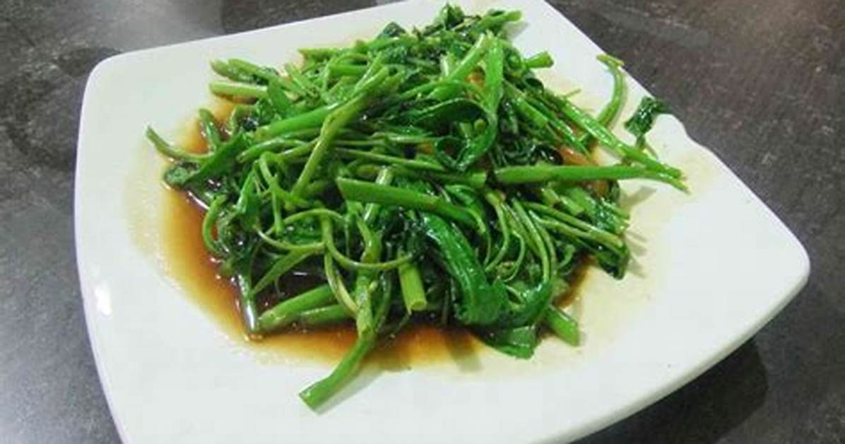 2026Zui Xin Cai