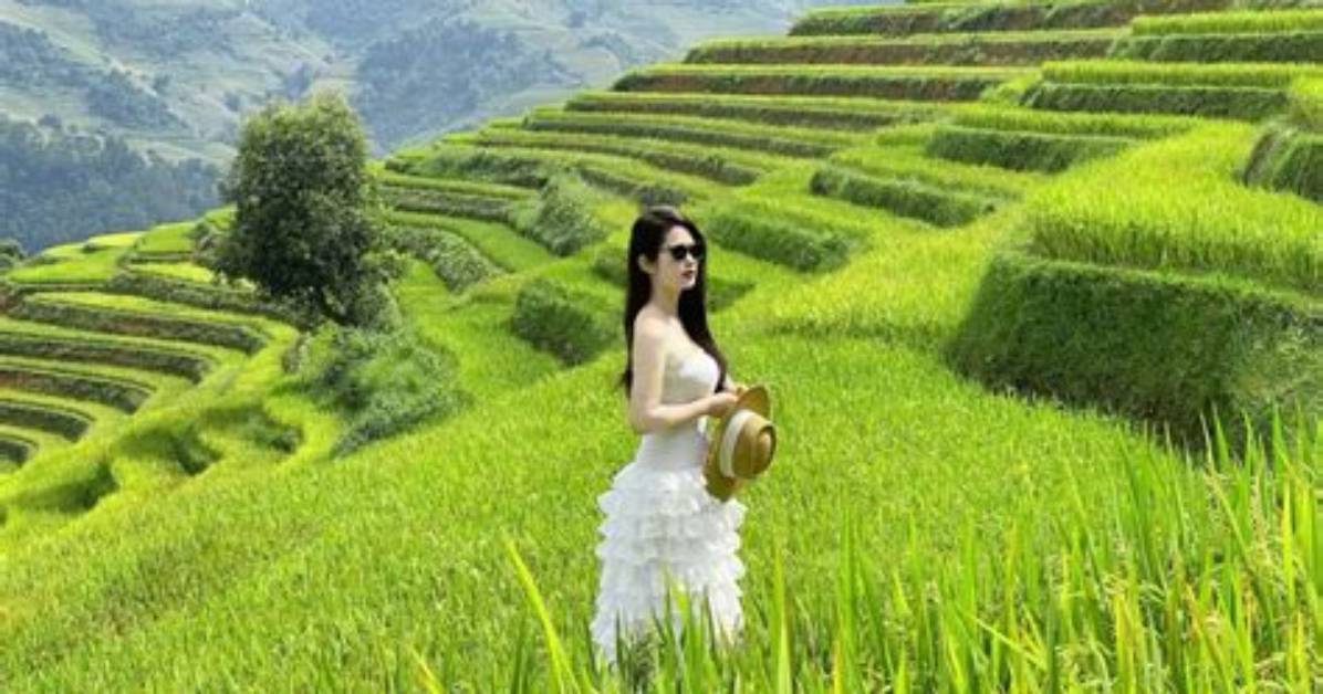 Cang Mu Ma