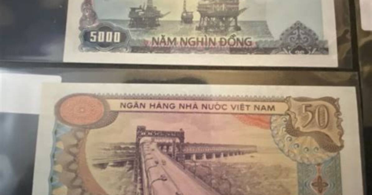 Dong Huamatome F