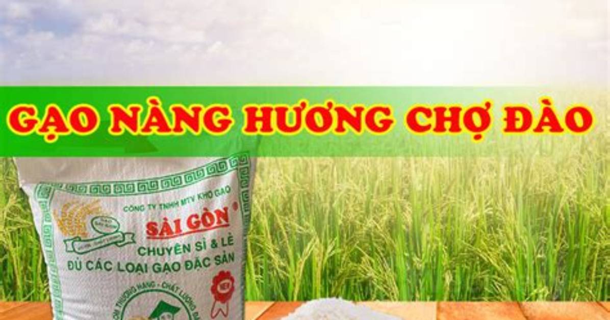 Gao Dao