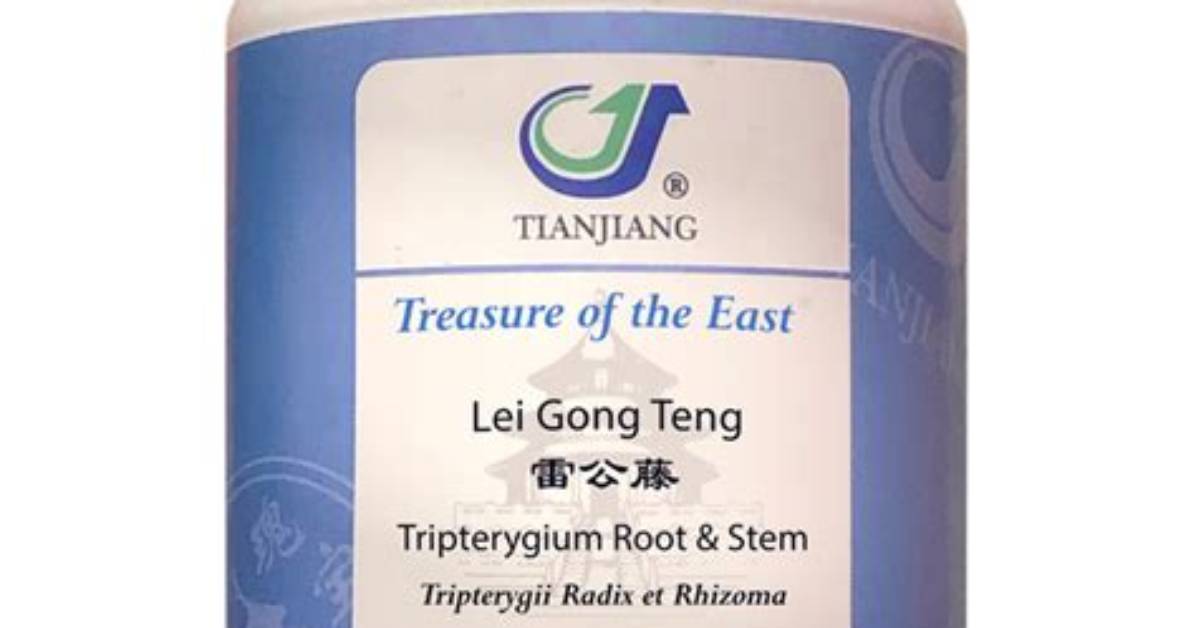 Gong Teng