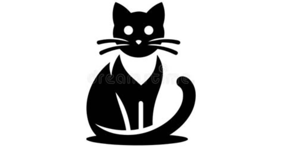 Image00 Cat In