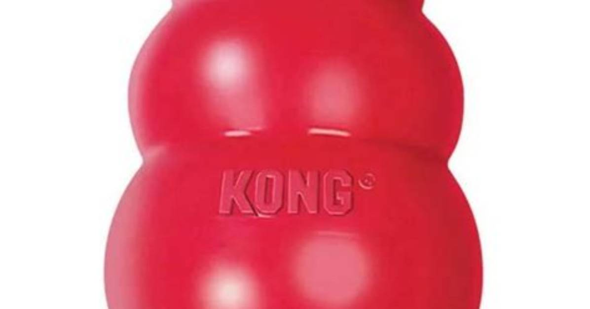 Kong