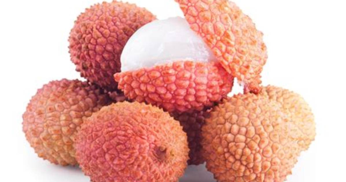 Lichi Shi