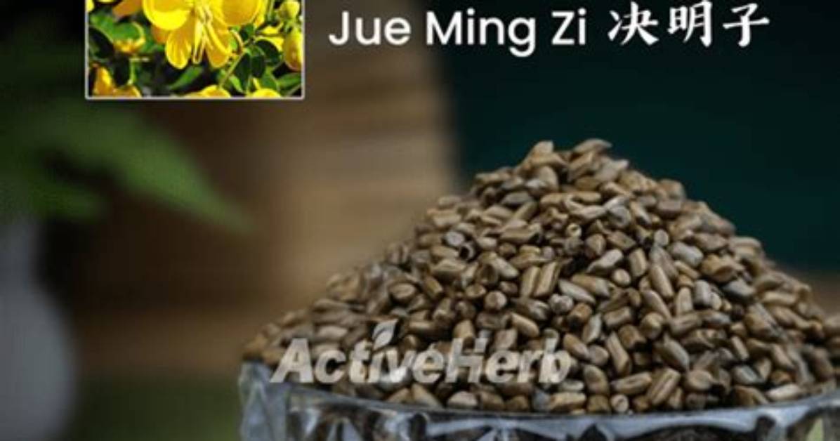 Ming Zi