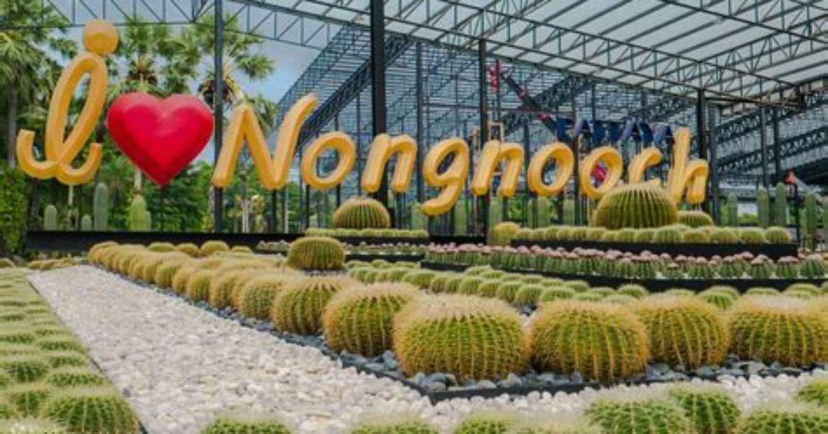 Nong Houkurimugatorokeru