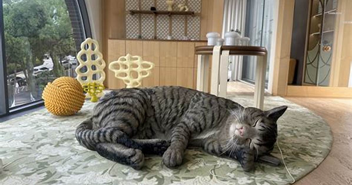 Orudosupaisu Xiangrino