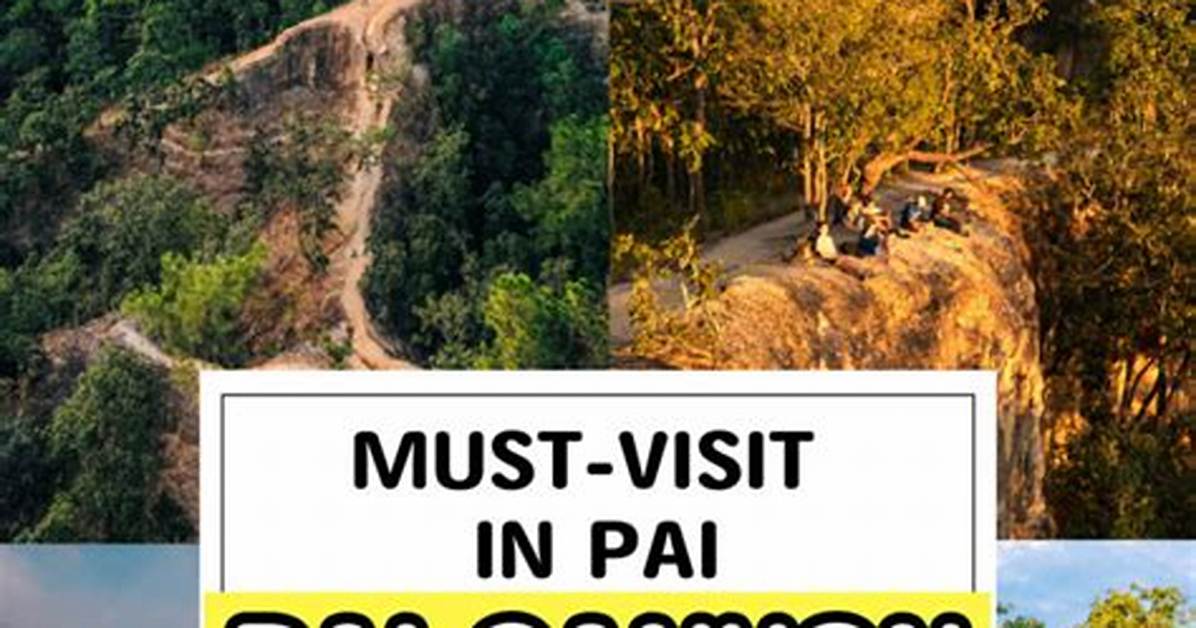 Pai You