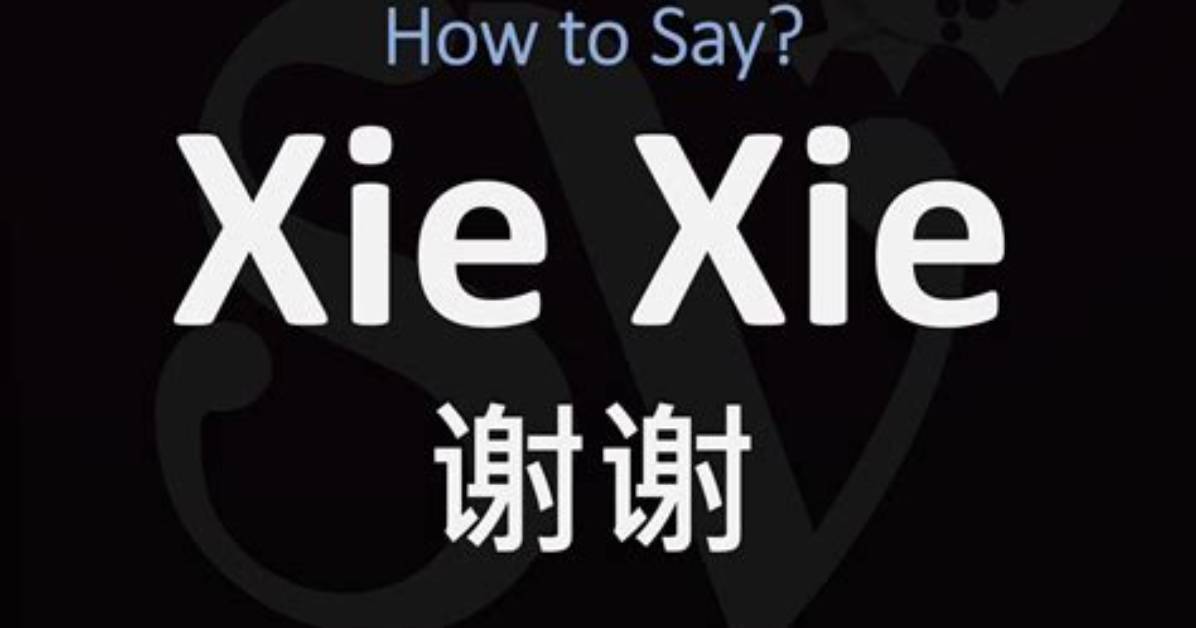 Shasuzo Dakejanai Xie
