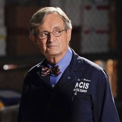 The Fate of Ducky from Ncis: Is He Still Alive?