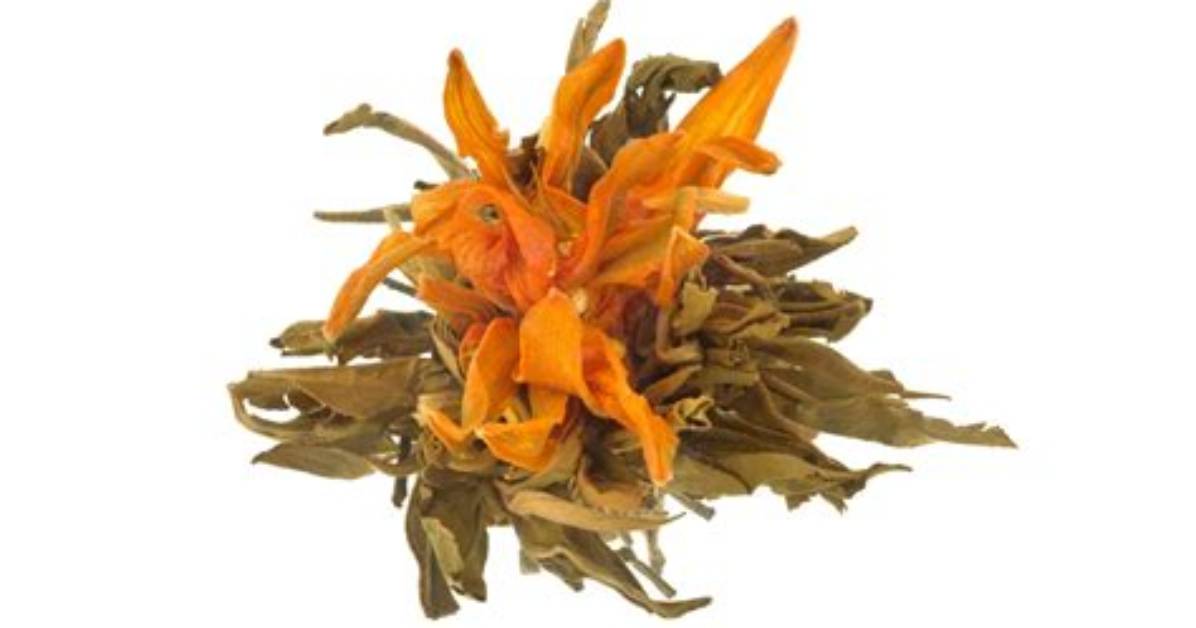Yue Gunosakura Pi