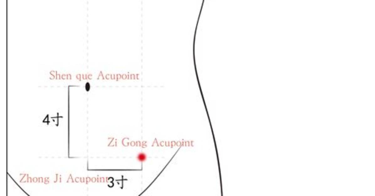Zi Gong