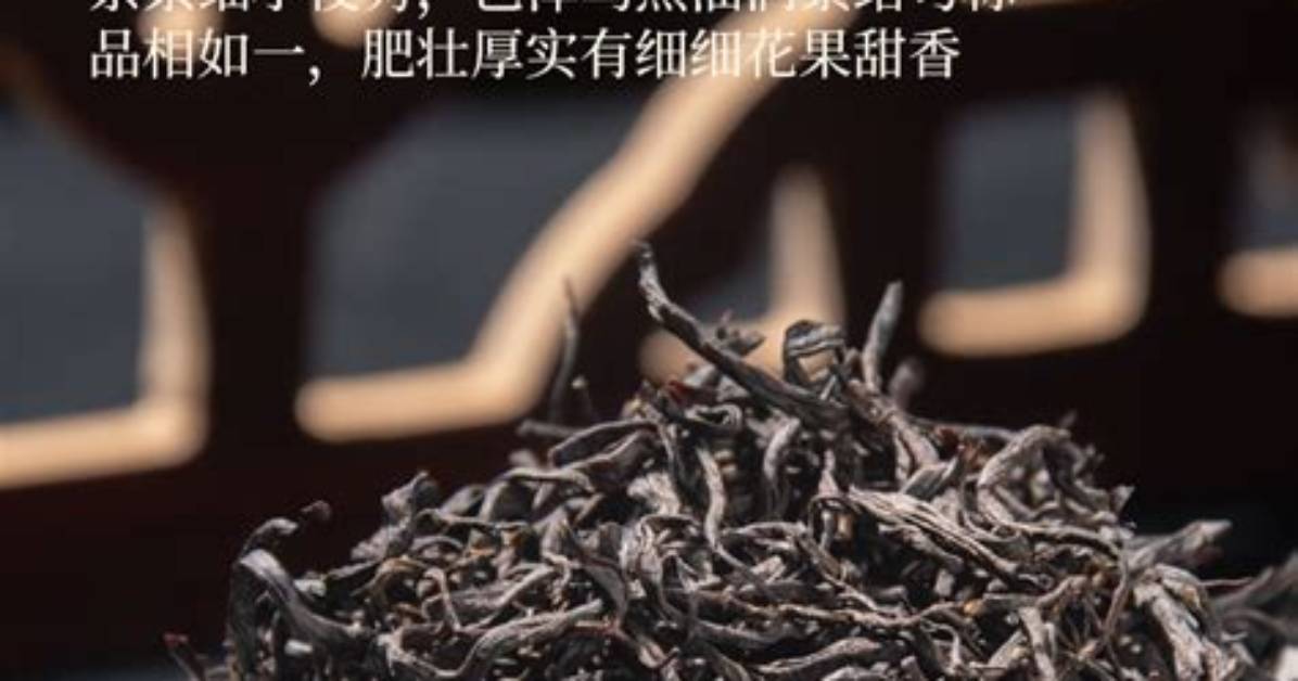 Zun Yi